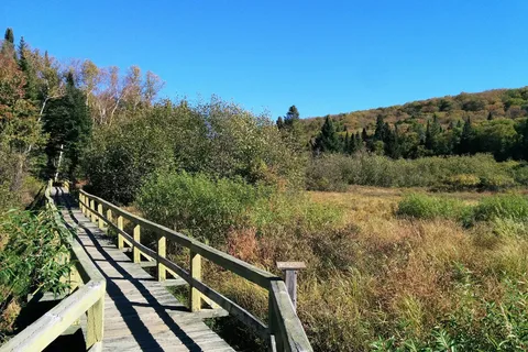 Lac Chat - Mont Tremblant Provincial Park