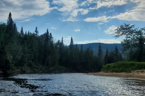 Lac Chat - Mont Tremblant Provincial Park