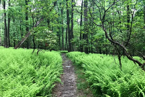 Gambrill State Park