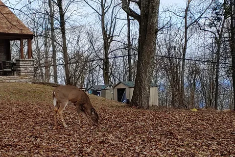 Gambrill State Park