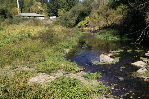 Premier RV Resort - Salem