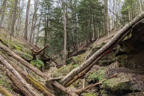 River Run - North Bend State Park