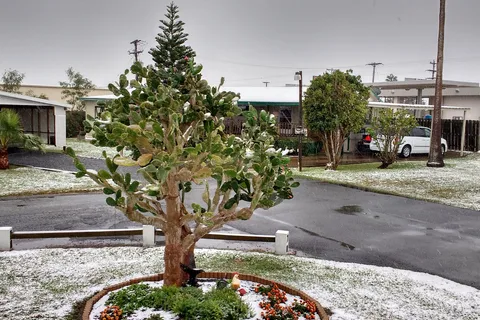 Twin Palms RV Park