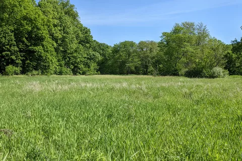 Woodchuck Ridge - Jubilee College State Park