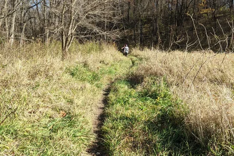Woodchuck Ridge - Jubilee College State Park
