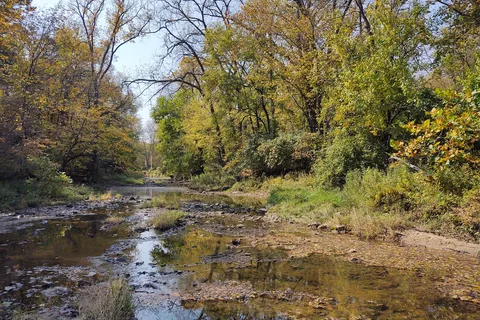 Woodchuck Ridge - Jubilee College State Park
