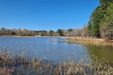 Texas State Railroad Campground