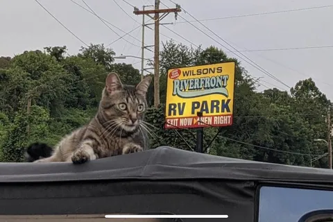 Wilson's Riverfront RV Park
