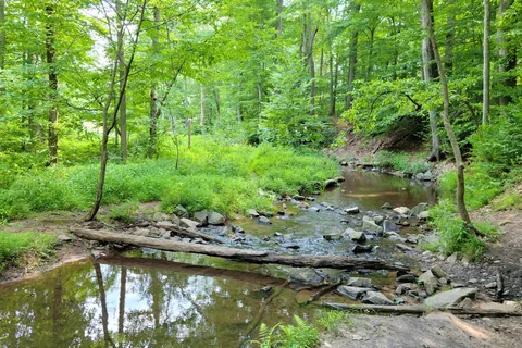 French Creek State Park