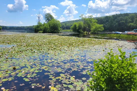French Creek State Park