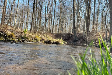 French Creek State Park