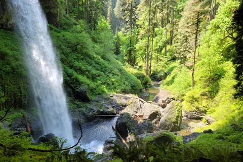 Parc d'État des chutes Silver