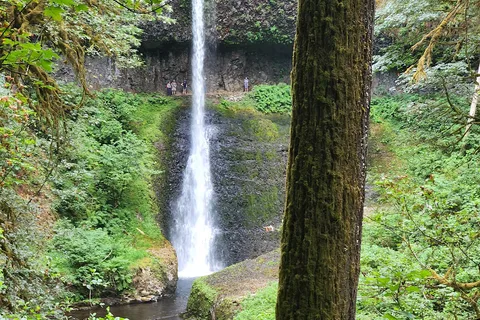 Parc d'État des chutes Silver