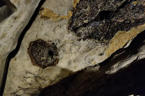 Mark Twain Cave and Campground