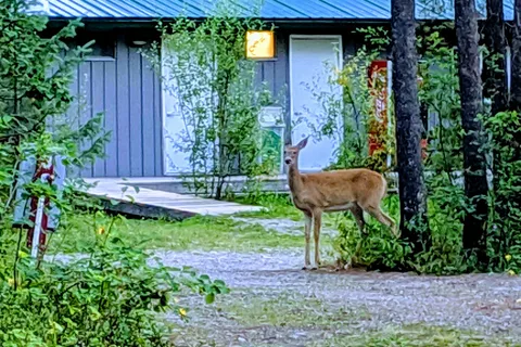 Sundance RV Park and Campground