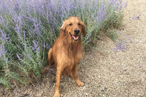Beaver KOA Journey