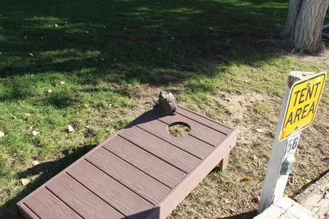 Beaver KOA Journey