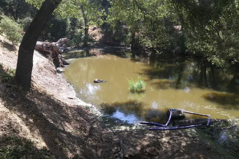 Ramona Oaks RV Resort