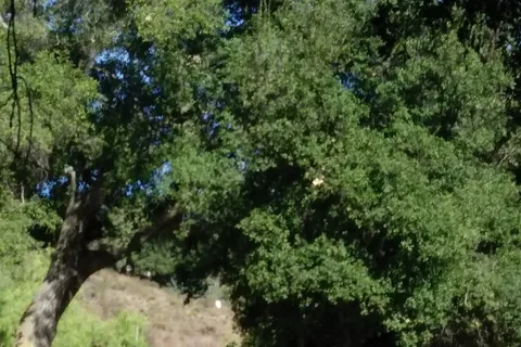 Ramona Oaks RV Resort