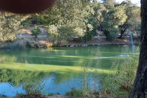 Ramona Oaks RV Resort