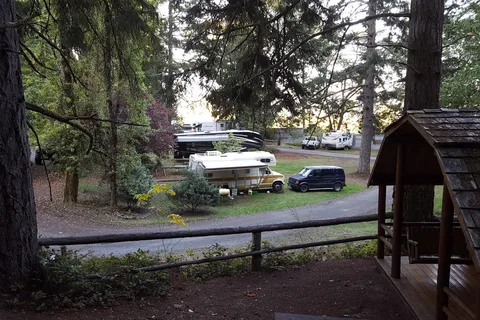 Cedar Springs Resort