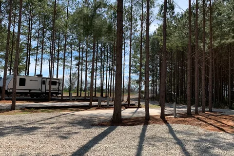 American Robin RV Park and Bird Sanctuary