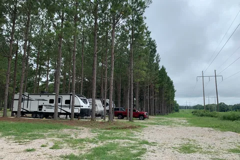 American Robin RV Park and Bird Sanctuary