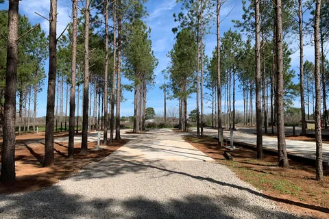 American Robin RV Park and Bird Sanctuary
