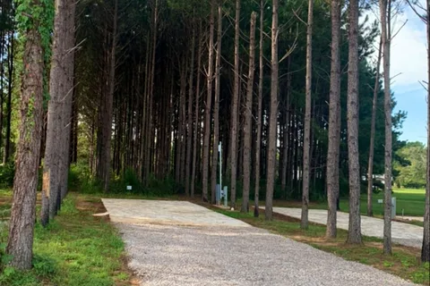 American Robin RV Park and Bird Sanctuary