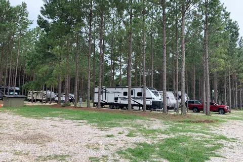 American Robin RV Park and Bird Sanctuary