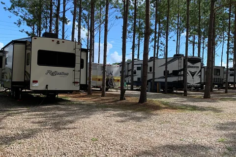 American Robin RV Park and Bird Sanctuary