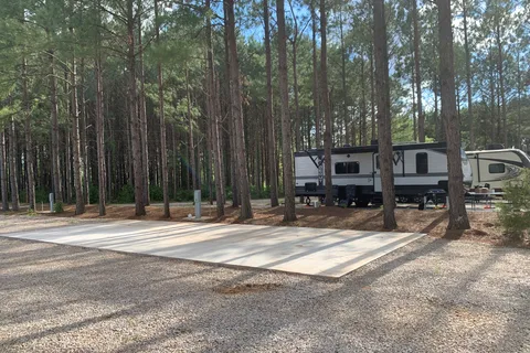 American Robin RV Park and Bird Sanctuary