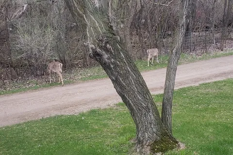 Virden Lions Park Campground