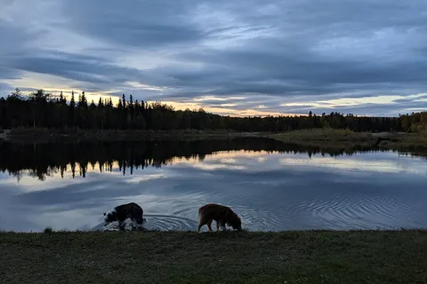 Olnes Pond Campground - Lower Chatanika State Recreation Area