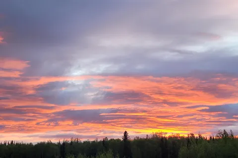 Olnes Pond Campground - Lower Chatanika State Recreation Area