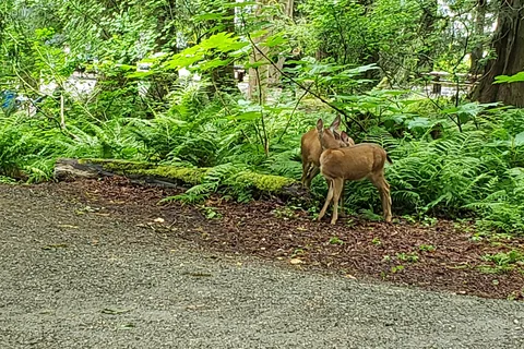 Delta Grove - Cultus Lake Provincial Park