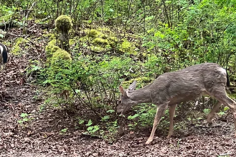 Delta Grove - Cultus Lake Provincial Park