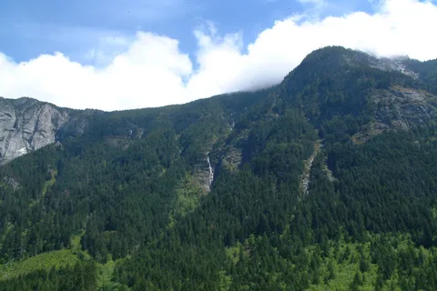 Delta Grove - Cultus Lake Provincial Park