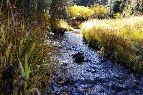 Mazama Campground - Crater Lake National Park