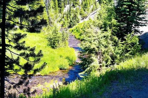Mazama Campground - Crater Lake National Park