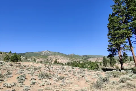 Gold Ranch Casino and RV Resort