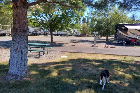 Gold Ranch Casino and RV Resort