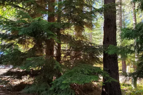 Crater Lake RV Park