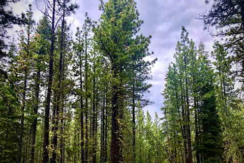 Eagle Lake Resort