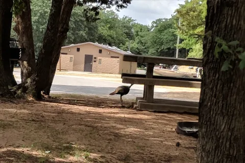 Deer Run Cove - Fort Cobb State Park
