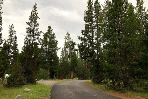 Indian Creek - Yellowstone National Park