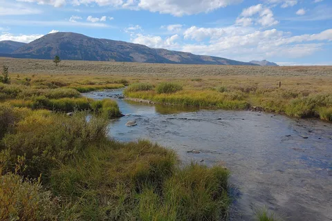 Indian Creek - Yellowstone National Park