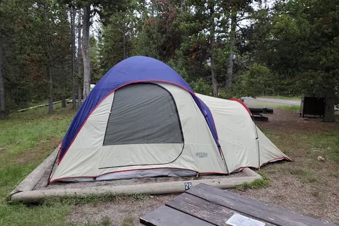 Indian Creek - Yellowstone National Park
