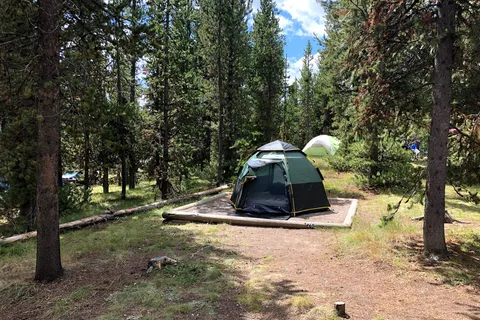 Indian Creek - Yellowstone National Park
