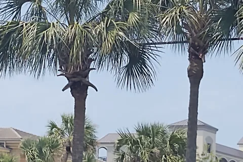 Destin RV Beach Resort